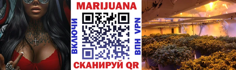 Бошки Шишки план  Купить закладки  Высоцк 
